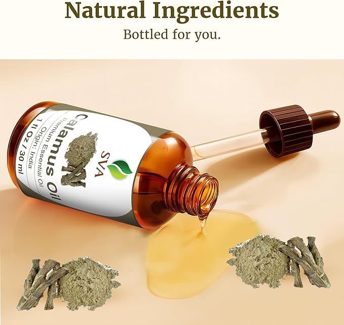 SVA Calamus Essential Oil – 1 Fl Oz – 100% Natural Calamus Oil - for Diffuser, Hair Care, Face, Skin Care, Aromatherapy, Scalp and Body Massage, Soap and Candle Making – with Dropper