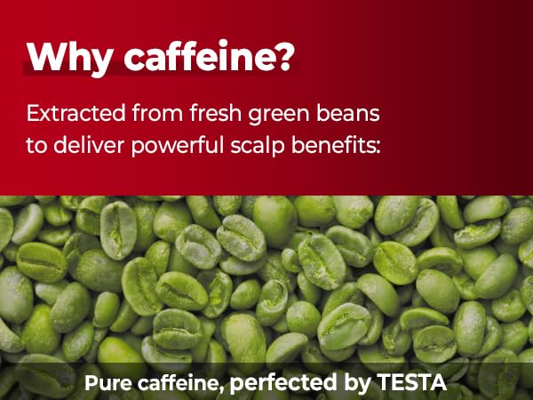 KUNDAL Official Caffeine Scalp Shampoo, 16.9 fl oz (500 ml), White Musk