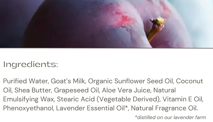 LAVENDER LANE Cashmere Plum Hand & Body Lotion, 9 oz - Made With Our Lavender Essential Oil, Goat's Milk, Moisturizing Shea Butter, Grown & Made in USA