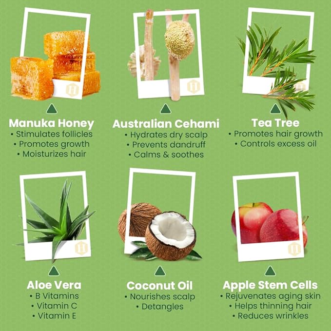 Tea Tree Shampoo and Conditioner Set - Dandruff Treatment With Organic Tea Tree Oil - Itchy Scalp Treatment for Women and Men - Sulfate and Paraben Free With Manuka Honey, Aloe Vera & Coconut (16oz)