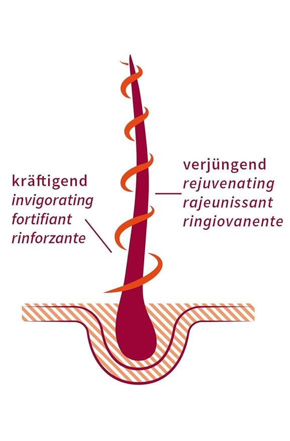 khadi STRONG AMLA hair oil, 100% natural, herbal, vegan, promotes growth, prevents hair loss & gray hair, strengthens roots, silicone-free, Ayurvedic hair care, organic beauty 1.69oz