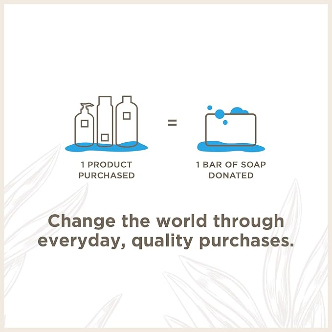 Soapbox Body Wash, Oat Milk + Lavender Body Wash, Vegan & Moisturizing, Calming with Shea Butter, 3 Pack, 20oz Each