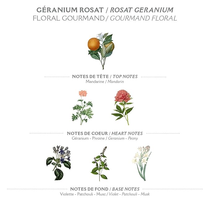 Panier des Sens - Rose Geranium Shower Gel - Foaming Body Wash Women & Men - Moisturizing Body Soap with Glycerin, Olive Oil - 95% Natural Ingredients Body Care - Vegan Liquid Body Wash - 8,45 floz