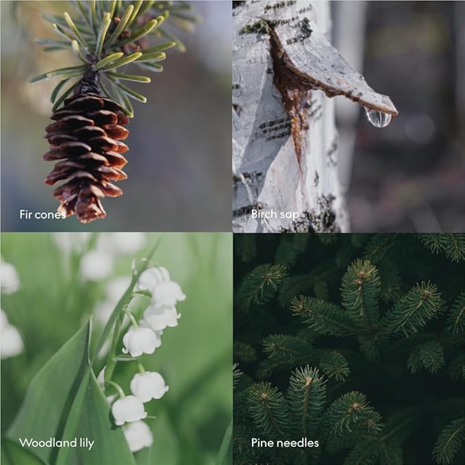 Skandinavisk SKOG ‘Forest’ Hand & Body Wash Refill, Scent Notes: Pine Needles and Fir Cones, Birch Sap and Woodland Lily of the Valley, 33.81 fl. oz.