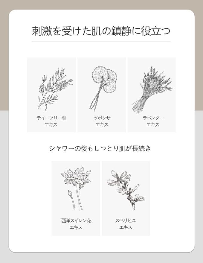 Bouquet Garni Nard Body Lotion - Tea Tree Rosemary 16.9 fl. oz. / Moisturizing Body Lotion with Shea Butter & 5 Herbal Extracts/Lightweight Hydration & Soothing Care