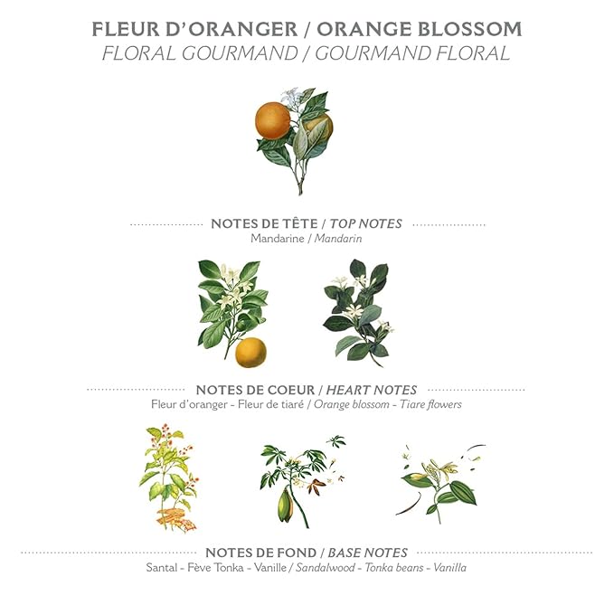 Panier des Sens –Orange Blossom Hand & Body Lotion for Dry Skin - Hydrating Body Cream for Women - Nourishing Fluid Body Moisturizer Shea Butter & Olive Oil 97% Natural Ingredients Body Care 8.45 Floz