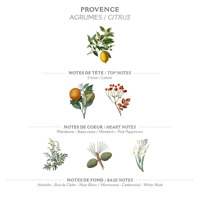 Panier des Sens – Provence Hand & Body Lotion for Dry Skin - Hydrating Body Cream for Women - Nourishing Fluid Body Moisturizer Shea Butter & Olive Oil - 97% Natural Ingredients Body Care - 8.45 Floz