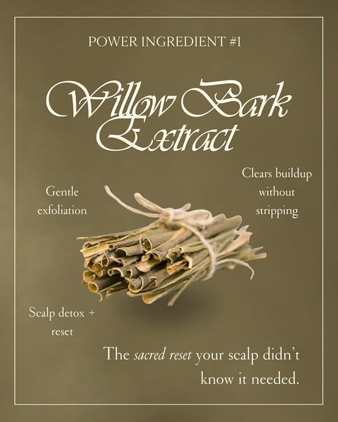 ARETÉ Micro-Exfoliating Scalp Scrub Treatment Masque + Scalp Cleanser, Deep Conditioning Hair Mask for Damaged Hair and Growth, Bamboo Extract + White Willow Bark, Snow Mushroom, Made in USA, 5.3oz