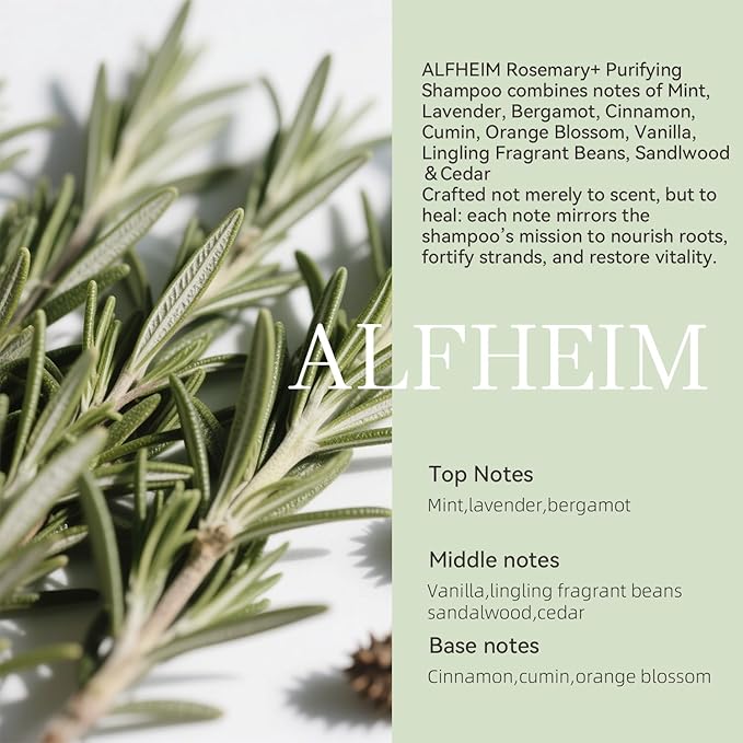 ALFHEIM Rosemary+ Purifying Shampoo | Rosemary & Mint Infused | Refreshes Scalp, Removes Build-Up & Balances Oil | Gentle for Oily Hair & Sensitive Scalp | Sulfate-Free | 18 fl oz