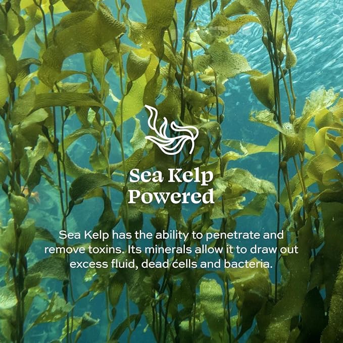 Aleavia Cucumber Melon Prebiotic Body Lotion – Lightly Scented, All-Natural Moisturizing Body Lotion with Organic Essential Oils – 12 Oz