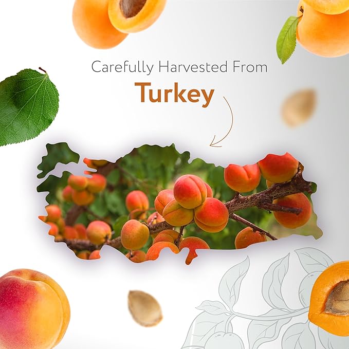 HBNO Organic Virgin Apricot Oil - 4 oz (120ml) Value Size - Ideal for Shampoos, Conditioners, Lip Balms, Face wash, Lotions, and Skin Care Products.