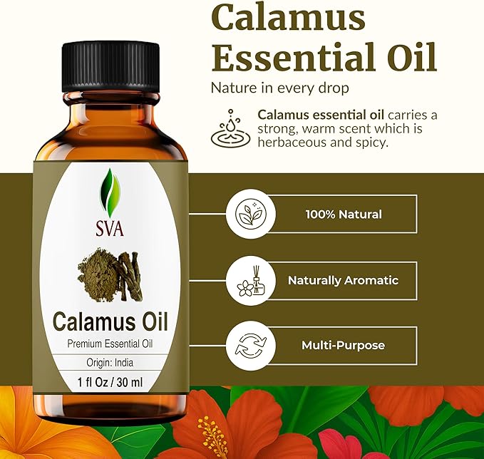 SVA Calamus Essential Oil – 1 Fl Oz – 100% Natural Calamus Oil - for Diffuser, Hair Care, Face, Skin Care, Aromatherapy, Scalp and Body Massage, Soap and Candle Making – with Dropper