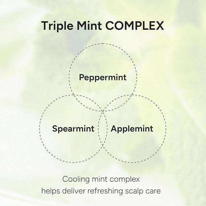 Purifying Hair & Dry Scalp Treatment Spray – Korean Hair Care with Triple Mint Complex for Oil Control, Soothing & Leave-In Conditioner – Paraben, Silicone & Sulfate Free – Green Breeze, 3.38 fl oz