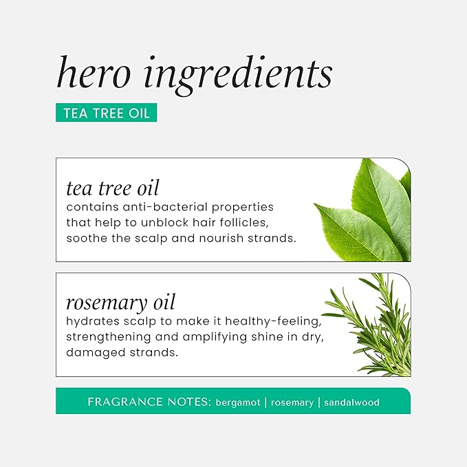 HASK Tea Tree Oil & Rosemary Invigorating Shampoo + Conditioner Set | Refreshes Scalp, Soothes, Sulfate-Free, Paraben-Free, Gluten-Free, Color Safe