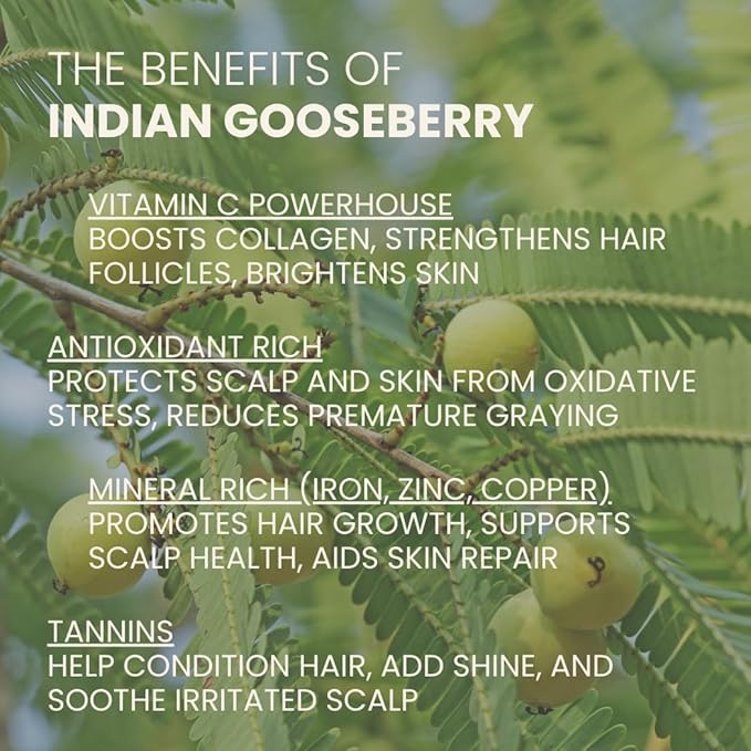 Ahimsa Irish Moss Body Wash – Hydrating & Antioxidant-Rich for Glowing Skin, Vegan, Sulfate-Free, Eco-Friendly, Yoga-Inspired Spearmint & Ginger, Gentle 10oz