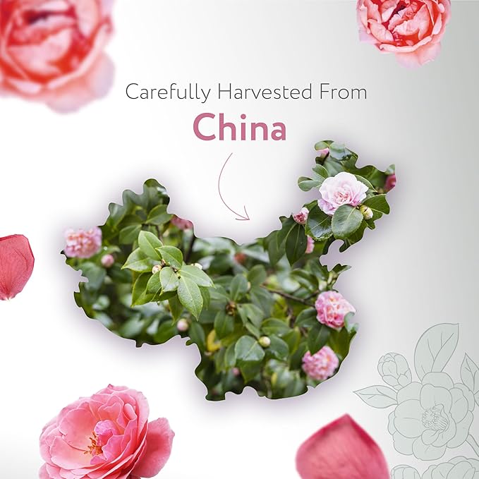 HBNO Organic Camellia Oil - Huge 4 oz (120ml) Value Size - USDA Certified Organic Camellia Oil, Cold Pressed Carrier Oil for Face, Body, Lips, Nails, Shampoo & Conditioner