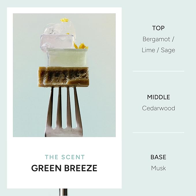 Purifying Hair & Dry Scalp Treatment Spray – Korean Hair Care with Triple Mint Complex for Oil Control, Soothing & Leave-In Conditioner – Paraben, Silicone & Sulfate Free – Green Breeze, 3.38 fl oz