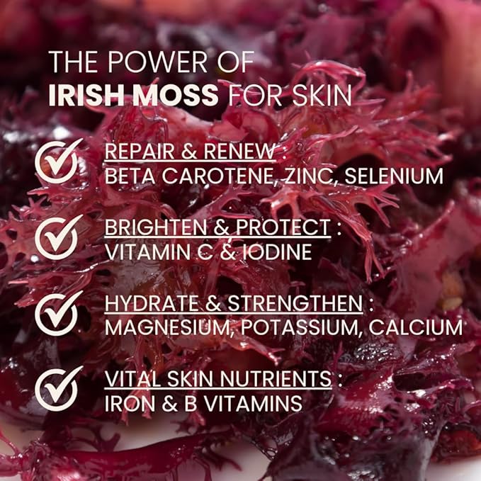 Ahimsa Irish Moss Body Wash – Hydrating & Antioxidant-Rich for Glowing Skin, Vegan, Sulfate-Free, Eco-Friendly, Yoga-Inspired Spearmint & Ginger, Gentle 10oz