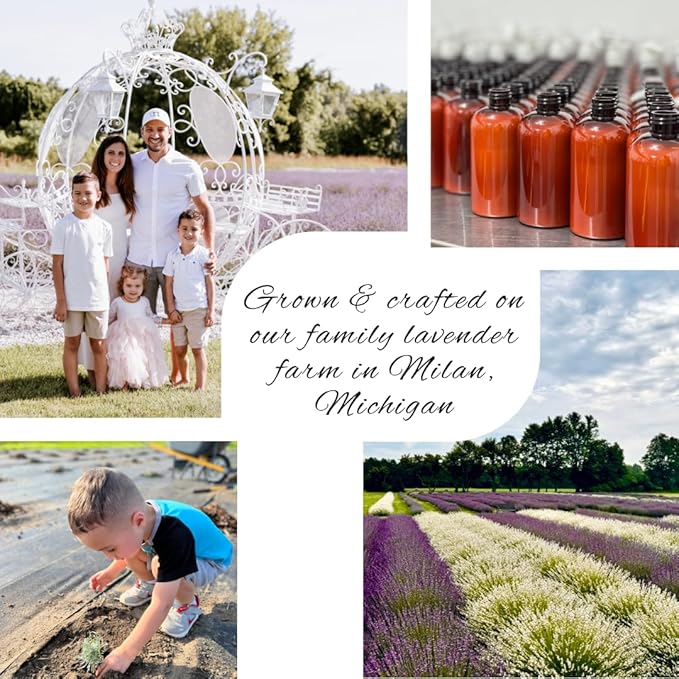 LAVENDER LANE Mango Lavender Hand & Body Lotion, 9 oz