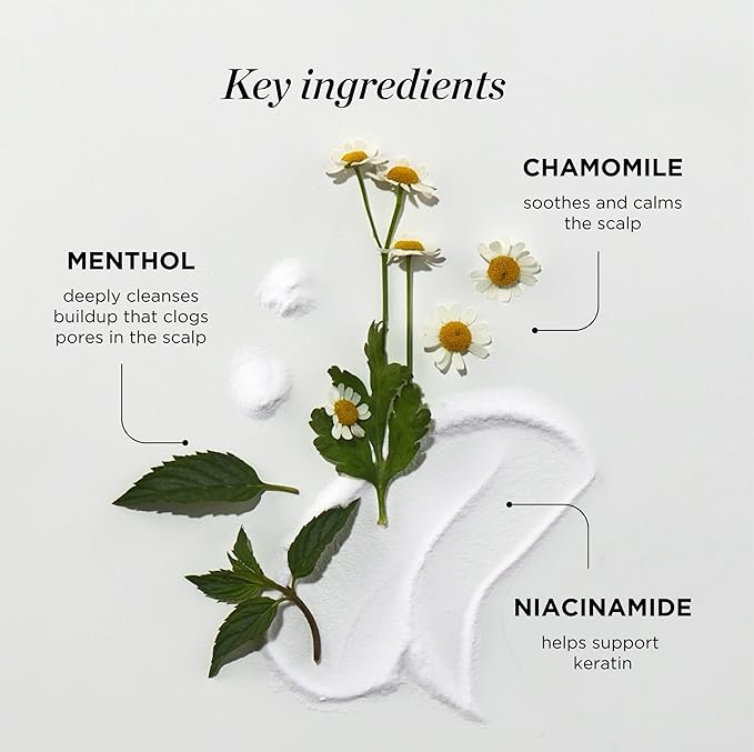 Dr. Groot Scalp Relief Tonic, Korean Hair Care with Chamomile, Niacinamide, Menthol, Rosemary Oil, Moisturizing Biotin Spray, Antioxidant Formula, for Dry Scalp, Kbeauty Scalp Revitalizing Solution