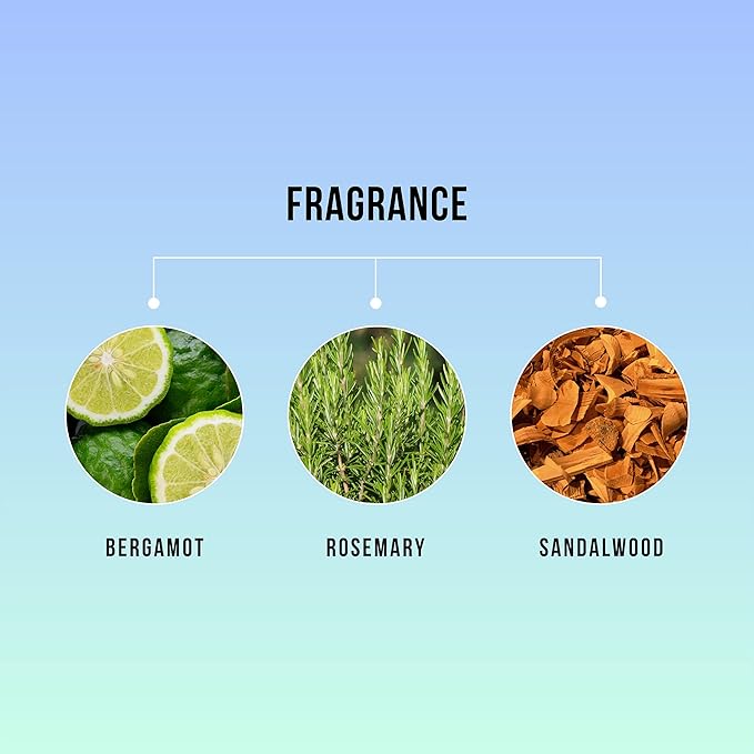 HASK Tea Tree & Rosemary Oil Scalp Care Shampoo - 12 fl oz