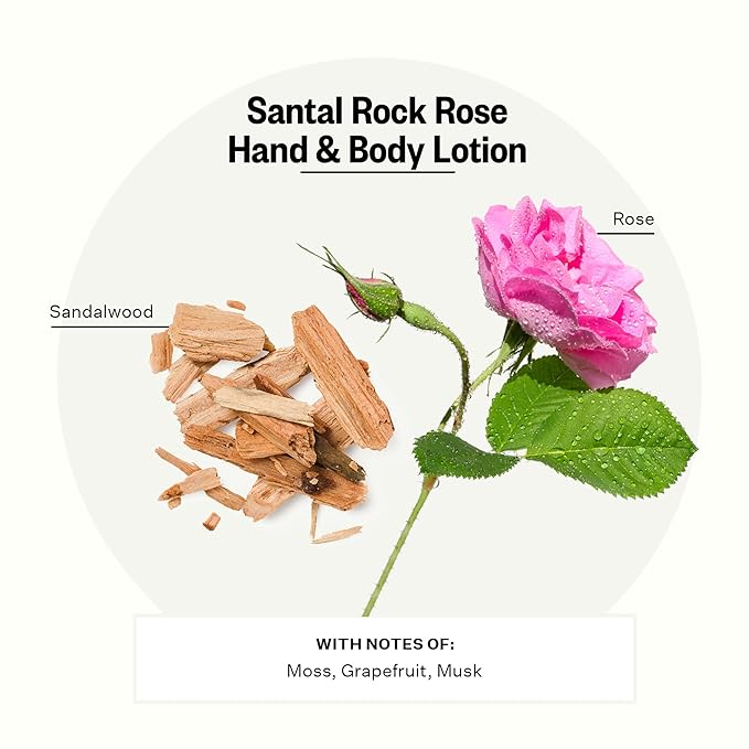 APOTHEKE Scented Hand & Body Lotion, Santal Rock Rose - 10 Fl Oz Nourishing Body Moisturizer Cream for Dry Skin - Gentle Daily Skincare for Men & Women with Natural Ingredients, All Skin Types