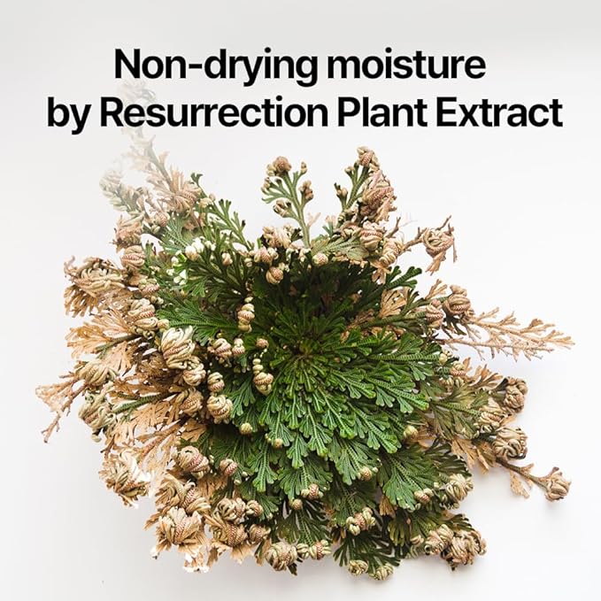 Pyunkang Yul PKY Dancheong Body Lotion, Intensive Moisture, Natural Scents with Essential Oils, Inspired by Fade-Resistant Korean Dancheong, Zero Irritation, Korean Skincare (11.83 Fl. Oz, 350ml)