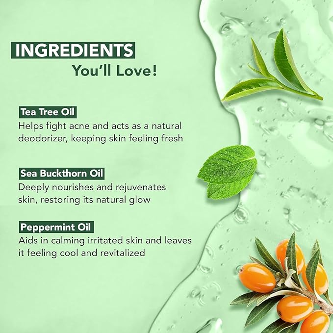 Botanic Hearth Tea Tree Body Wash | 16 Fl Oz | Helps Soothe Itchy, Dry Skin, Antifungal Body Wash With 100% Pure Tea Tree Oil | Sulfate Free, Paraben Free, For Men And Women Set Of 2