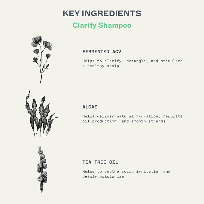 JOOY Clarify Shampoo + Conditioner Set | Sensitive Scalp-Friendly Cleansing & Hydration | Fermented Superfoods, Apple Cider Vinegar, Tea Tree & Niacinamide for Balanced, Healthy Scalp & Hair