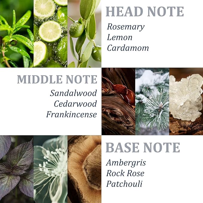 Organic Biotin & Rosemary Hair Growth Shampoo – Thickening Shampoo with Amino Acids for Hair Loss, Dandruff Control & Oily Scalp - for Women & Men