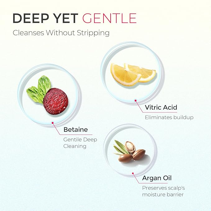 TYMO Clarifying Shampoo for Women - Natural Formula Shampoo for Oily Hair, Remove Build Up, Deep Clean, Hair and Scalp Cleaning, Biotin & Sulfate Free, 3.5 Oz, Volumizing & Repair - Argan Oil