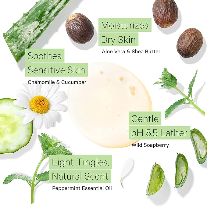 Tree to Tub Peppermint Body Wash for Sensitive Skin and Dry Skin - pH Balanced, Hydrating, Sulfate Free, Vegan Body Soap with Organic Aloe Vera