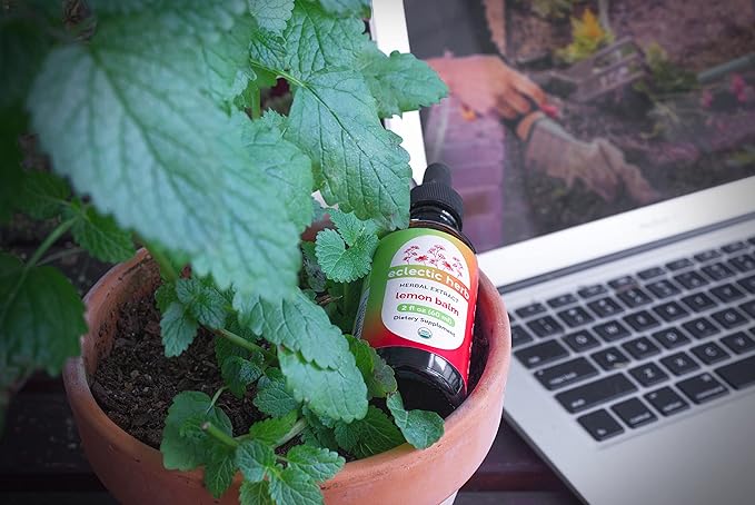 Eclectic Herb Organic Lemon Balm Extract Relaxation
