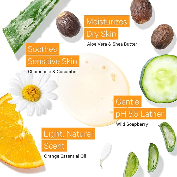 Tree to Tub Citrus Body Wash for Dry Skin & Sensitive Skin - pH Balanced Moisturizing Body Wash, Hydrating Sulfate Free Body Soap for Women & Men w/Organic Shea Butter, Aloe Vera, Natural Soapberry