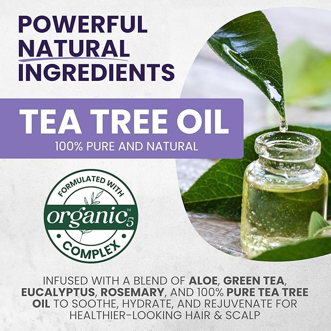 Tea Tree Purple Shampoo for Blonde, Bleached, Silver & Grey Hair, Anti-Brass Toner, Boosts Highlights & Revitalizes Color, Relieves Itchy Scalp & Salon-Grade Hair Toner Shampoo, 16 fl oz