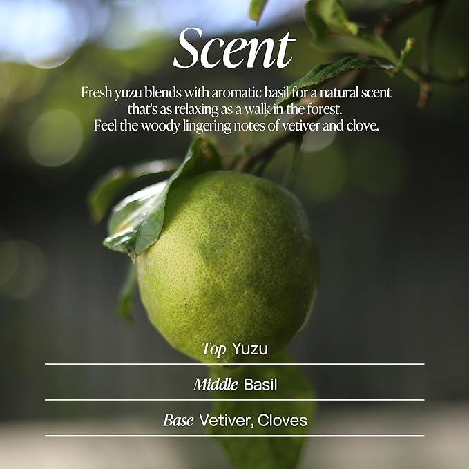 VOYAGER A Rainy day in New York Body Wash, Citrus with Basil, Woody Vetiver and Cloves, Forest & Fresh Scent, 10.14 Fl. Oz./300ml