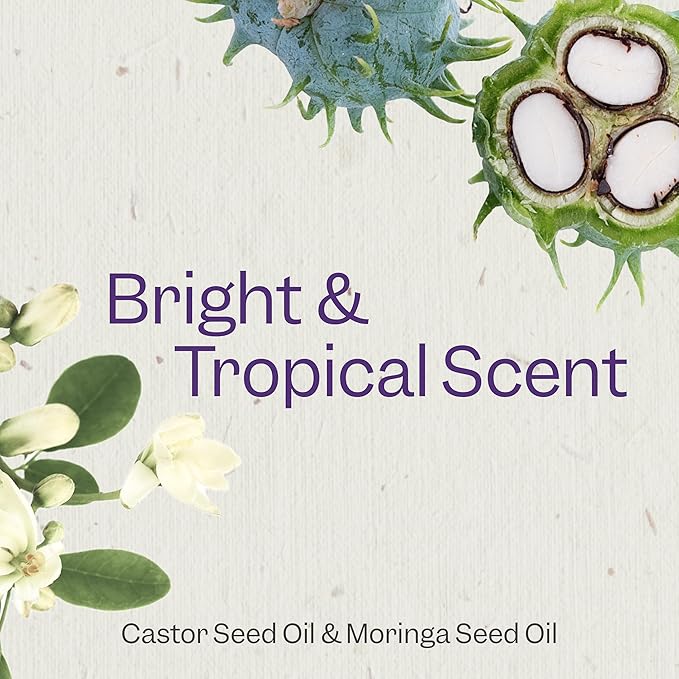 Renpure Castor Oil & Moringa Shampoo & Conditioner Set, Plant-Based - Curl Enhancing - Moisturized, Manageable & Frizz-Free Curls - Castor & Moringa Seed Oil - Wavy to Curly Hair-24 Fl Oz each,2 Pack