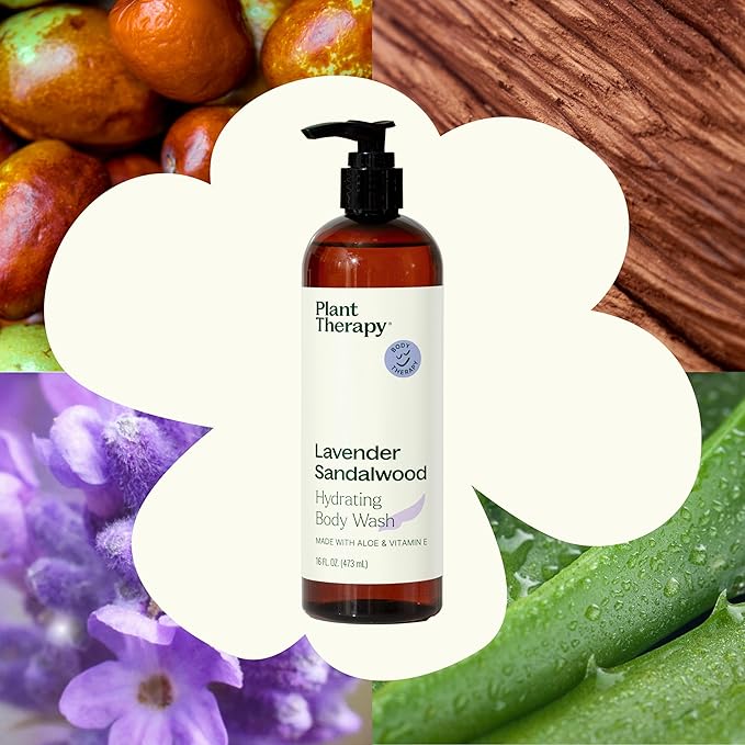 Plant Therapy Lavender Sandalwood Natural Body Wash 16 oz For all Skin Types, Sulfate Free Body Wash, For Men or Women, Relaxing All-Natural Aroma, Lush, Hydrating Lather, Cleanses & Soothes Skin