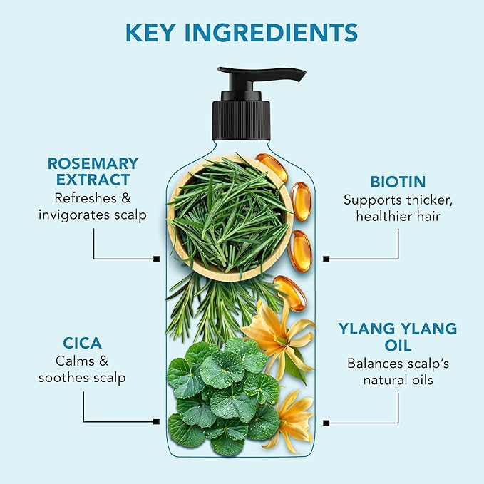 Botanic Hearth Rosemary Shampoo Infused With Cica, Ylang Ylang Oil & Biotin Oil – Clarifying Shampoo For Hair Volume, Growth & Strength | Paraben & Sulfate Free | For All Hair Types, 16 Fl Oz