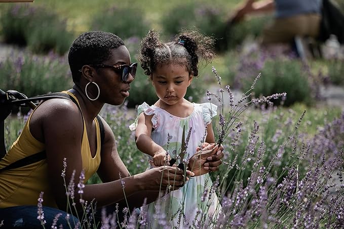 LAVENDER LANE Cashmere Plum Hand & Body Lotion, 9 oz - Made With Our Lavender Essential Oil, Goat's Milk, Moisturizing Shea Butter, Grown & Made in USA