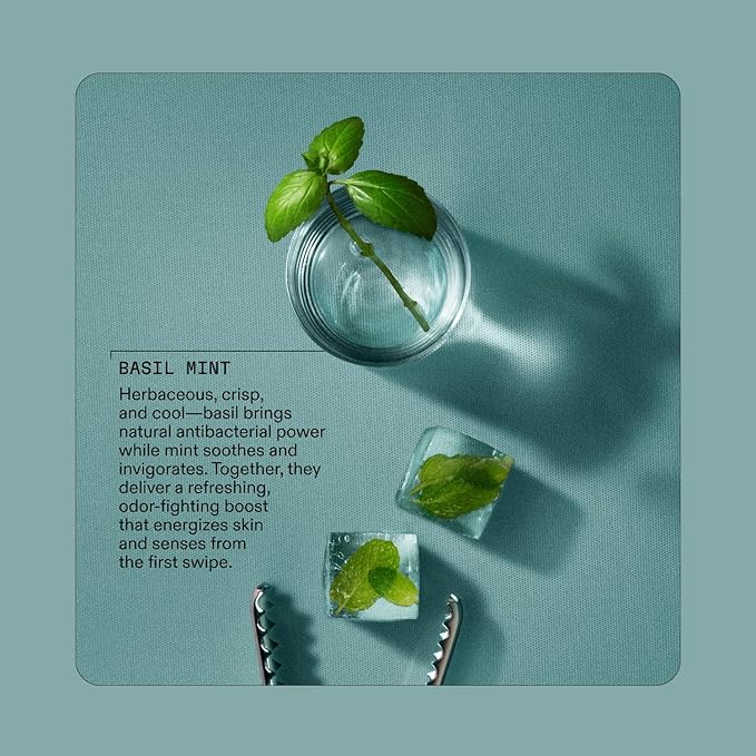 Cleo+Coco - Natural Dry Shampoo Powder - For Body & Hair - For Women - Absorbs Odor & Sweat - Essential Oils & Arrowroot Powder - Free of Talc & Parabens - PCR - Made in USA - Basil Mint - 0.88oz