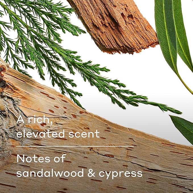 Harry's Men's Body Wash - Wildlands - (3 Pack) 18 fl oz - Shower Gel for Men - No Parabens, Sulfates, or Dyes