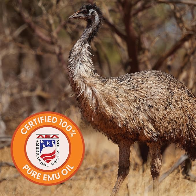 Cleure 100% Pure Emu Oil - Multi-Purpose for Dry Skin, Muscle & Joint Relief, and Nail & Hair Growth (2 Oz, Pack of 1)